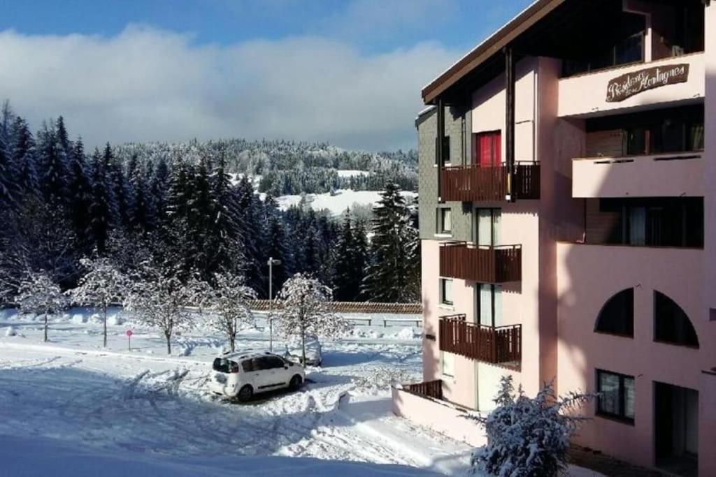Appartement Montagne La Vallee Verte Coeur Station Hirmentaz Bellevaux Exterior foto